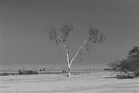 Khuzestan, Iran, 2010, digital photography